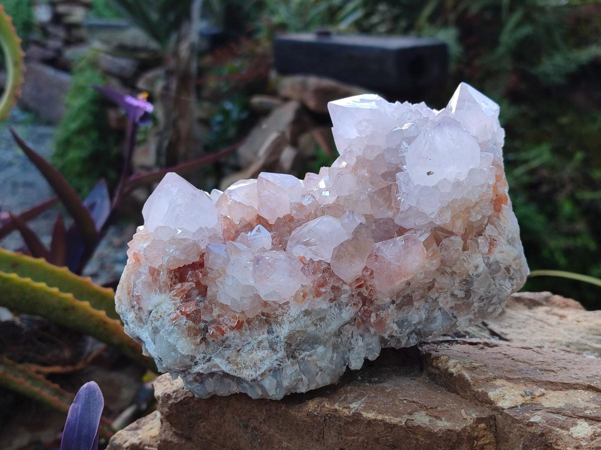Natural Large Pale Spirit Quartz Cluster x 1 From Boekenhouthoek, South Africa - Toprock Gemstones and Minerals 