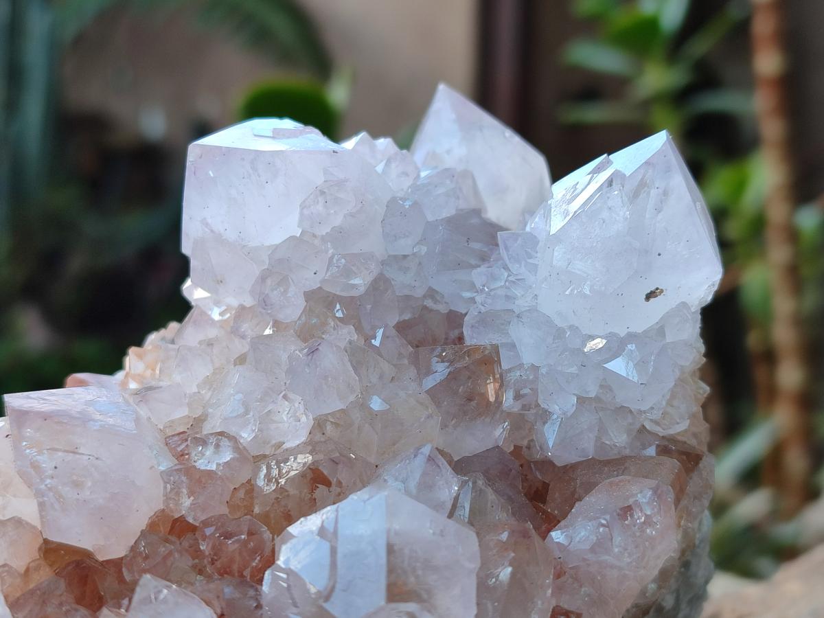 Natural Large Pale Spirit Quartz Cluster x 1 From Boekenhouthoek, South Africa - Toprock Gemstones and Minerals 