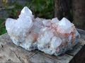 Natural Large Pale Spirit Quartz Cluster x 1 From Boekenhouthoek, South Africa - Toprock Gemstones and Minerals 