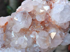 Natural Large Pale Spirit Quartz Cluster x 1 From Boekenhouthoek, South Africa - Toprock Gemstones and Minerals 