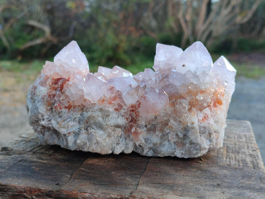 Natural Large Pale Spirit Quartz Cluster x 1 From Boekenhouthoek, South Africa - Toprock Gemstones and Minerals 