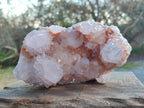 Natural Large Pale Spirit Quartz Cluster x 1 From Boekenhouthoek, South Africa - Toprock Gemstones and Minerals 