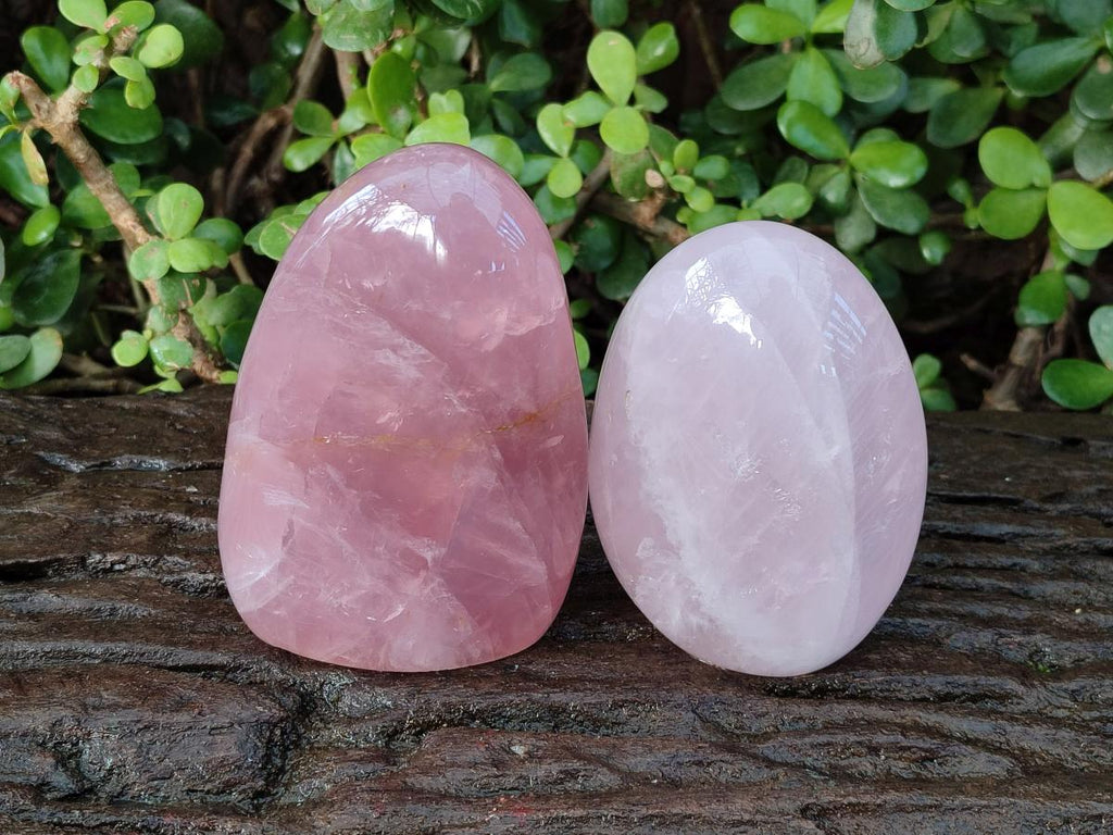Polished Gemmy Rose Quartz Standing Display Pieces x 2 From Madagascar - Toprock Gemstones and Minerals 