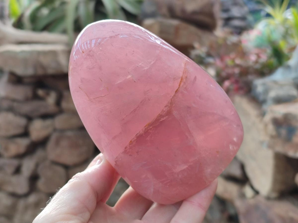 Polished Gemmy Rose Quartz Standing Display Pieces x 2 From Madagascar - Toprock Gemstones and Minerals 