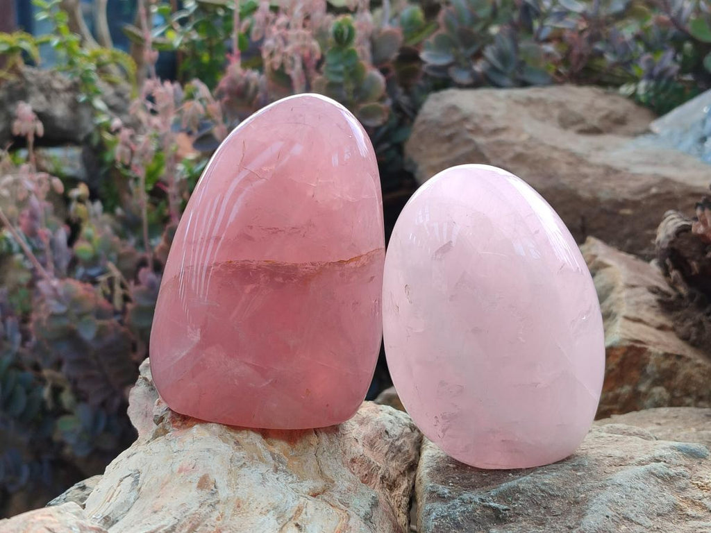 Polished Gemmy Rose Quartz Standing Display Pieces x 2 From Madagascar - Toprock Gemstones and Minerals 