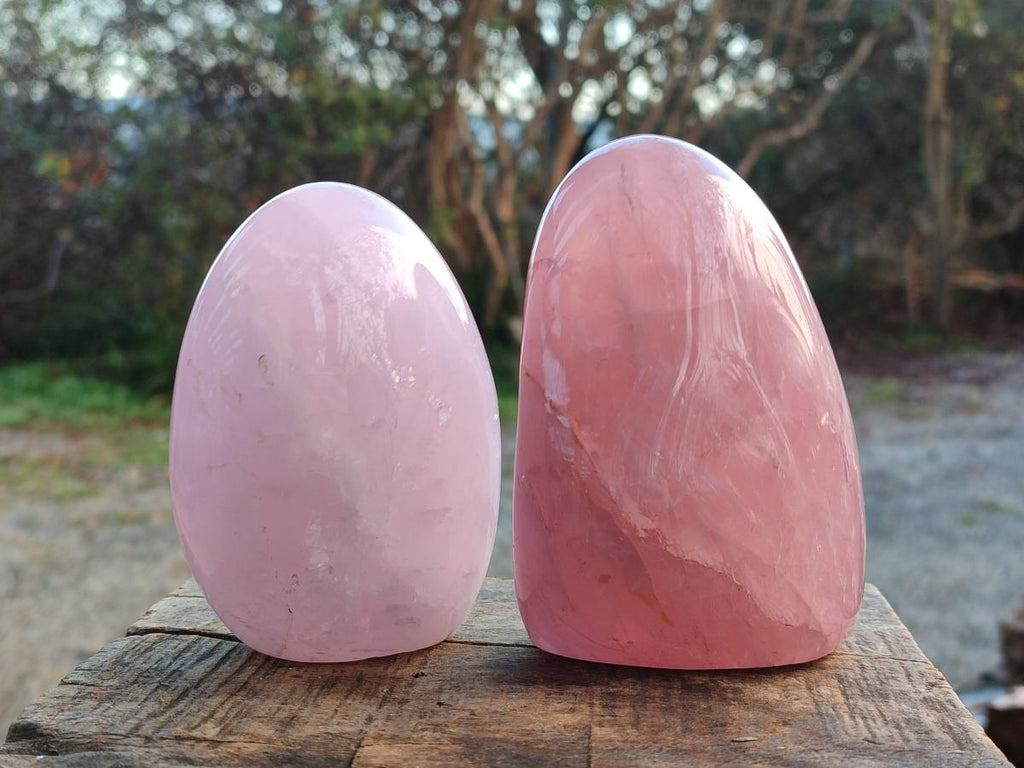 Polished Gemmy Rose Quartz Standing Display Pieces x 2 From Madagascar - Toprock Gemstones and Minerals 