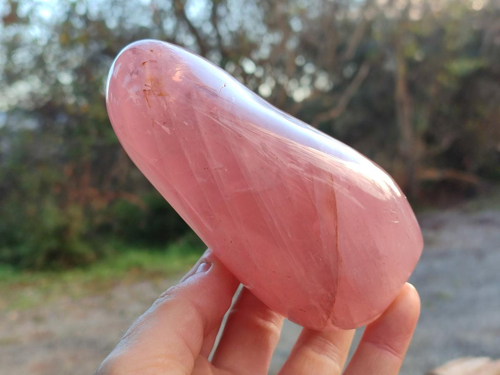 Polished Gemmy Rose Quartz Standing Display Pieces x 2 From Madagascar - Toprock Gemstones and Minerals 