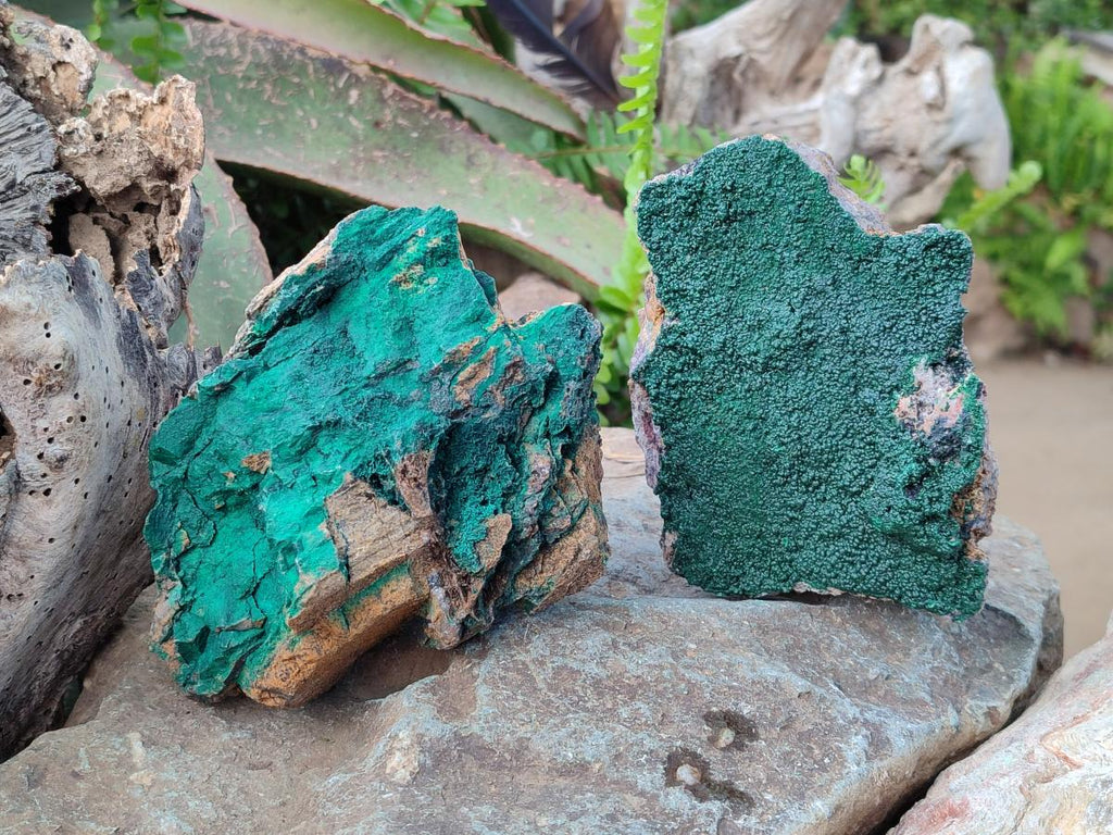 Natural Botryoidal Malachite Specimens x 3 From Congo - Toprock Gemstones and Minerals 