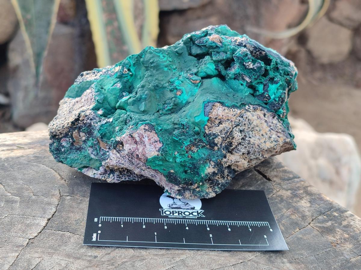Natural Botryoidal Malachite Specimens x 3 From Congo - Toprock Gemstones and Minerals 
