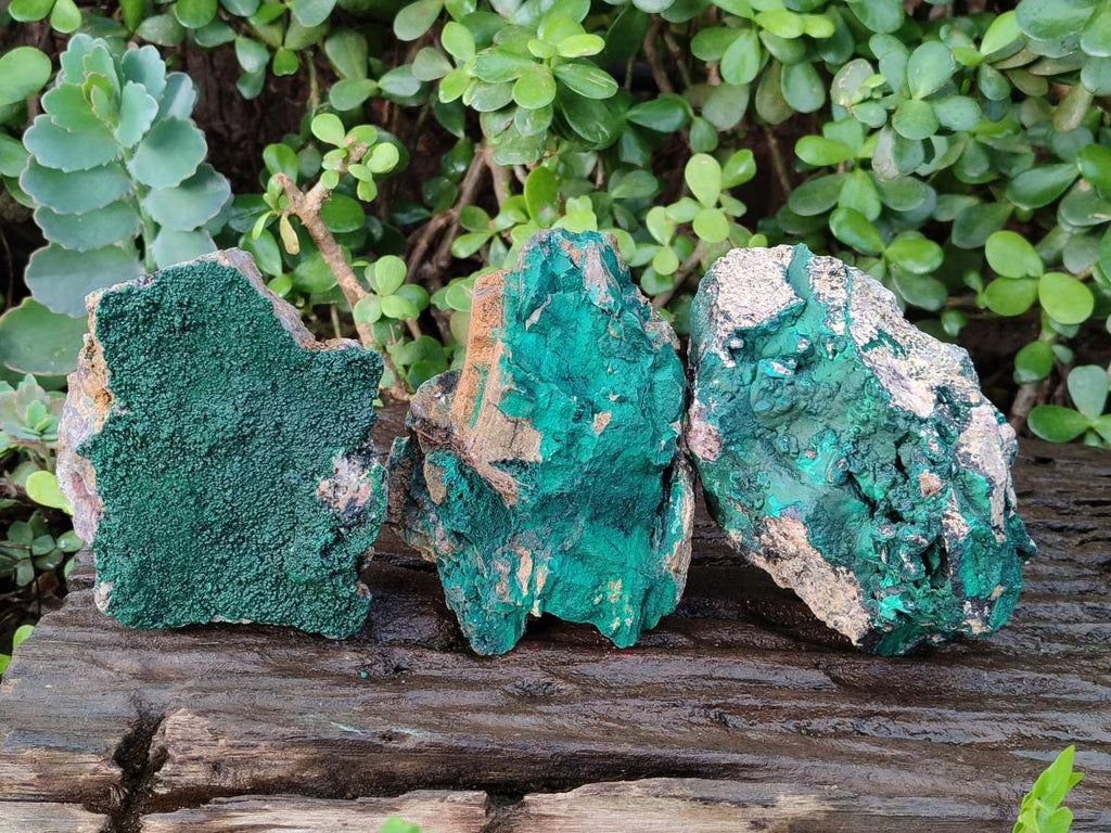Natural Botryoidal Malachite Specimens x 3 From Congo - Toprock Gemstones and Minerals 