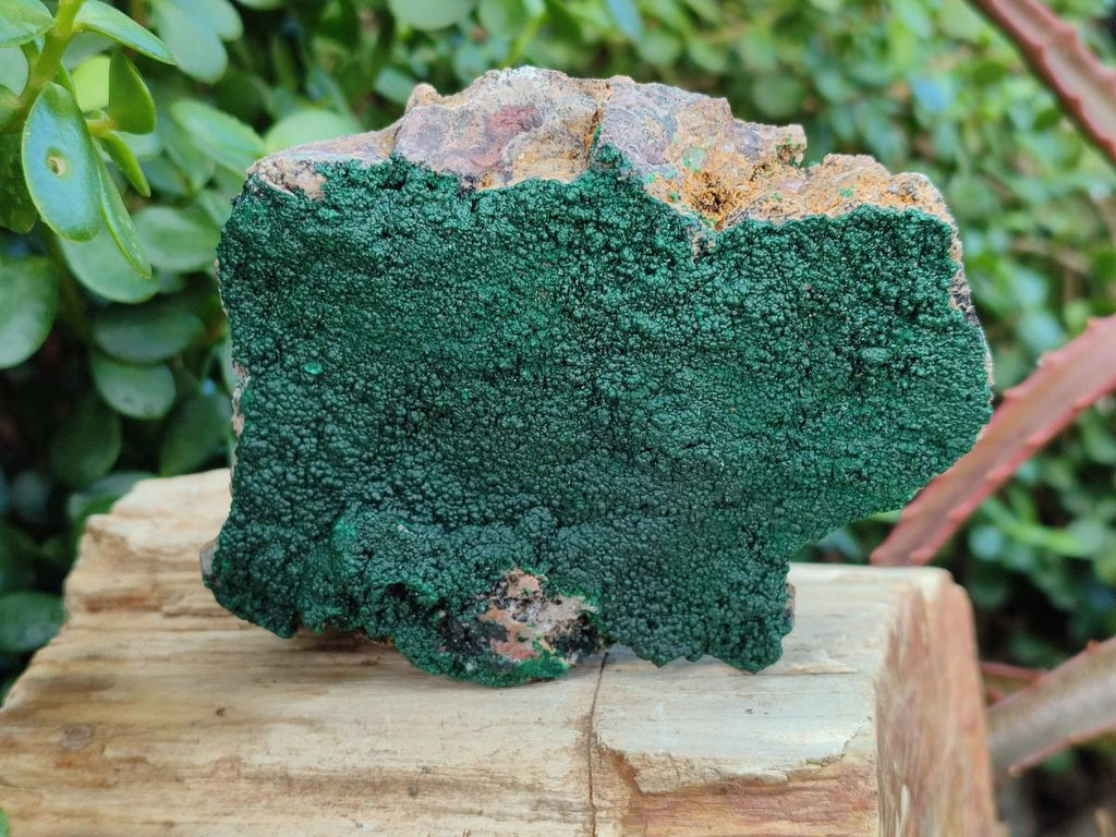 Natural Botryoidal Malachite Specimens x 3 From Congo - Toprock Gemstones and Minerals 