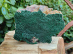 Natural Botryoidal Malachite Specimens x 3 From Congo - Toprock Gemstones and Minerals 