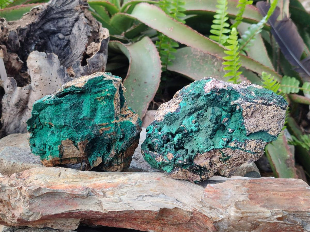 Natural Botryoidal Malachite Specimens x 3 From Congo - Toprock Gemstones and Minerals 