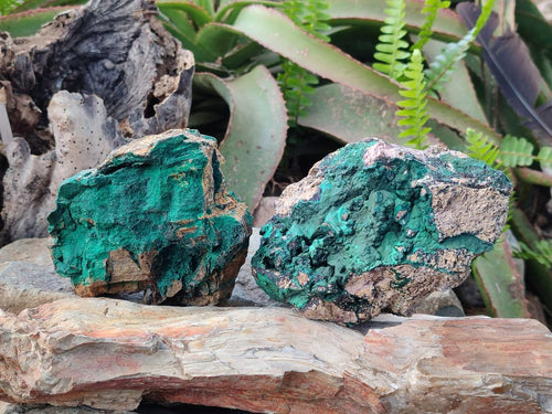 Natural Botryoidal Malachite Specimens x 3 From Congo - Toprock Gemstones and Minerals 