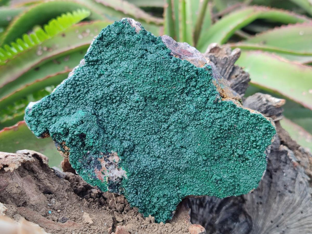 Natural Botryoidal Malachite Specimens x 3 From Congo - Toprock Gemstones and Minerals 