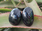 Polished Black Tourmaline Galets x 12 From Madagascar - Toprock Gemstones and Minerals 