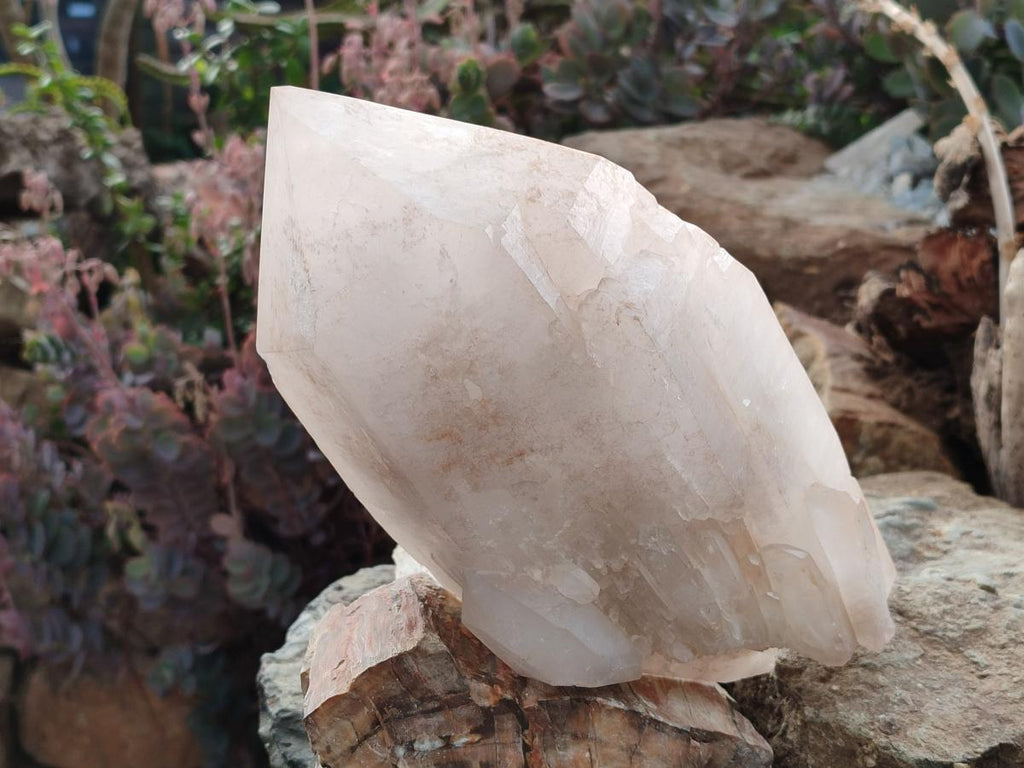 Natural Large Cascading Double Terminated Malagasy Quartz "Collar" Crystal x 1 From Madagascar - Toprock Gemstones and Minerals 
