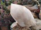 Natural Large Cascading Double Terminated Malagasy Quartz "Collar" Crystal x 1 From Madagascar - Toprock Gemstones and Minerals 