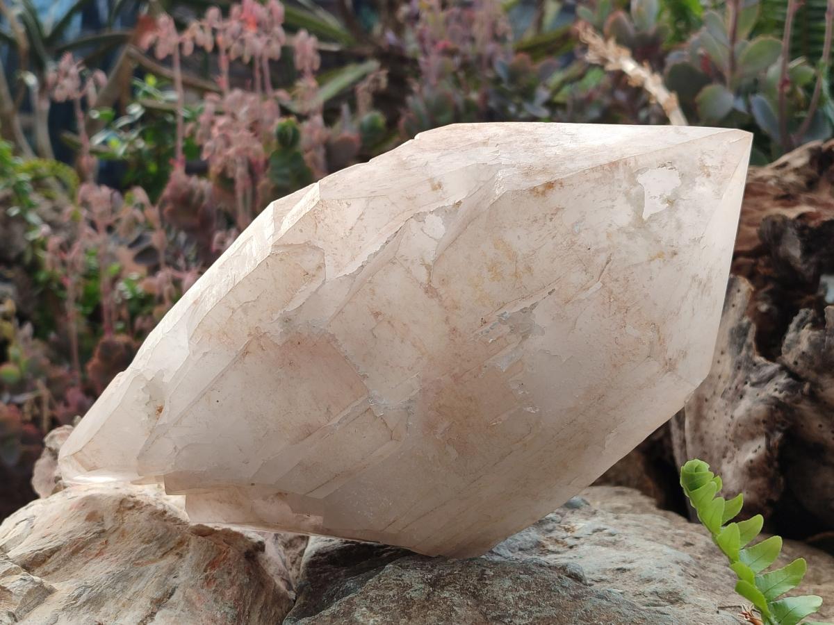 Natural Large Cascading Double Terminated Malagasy Quartz "Collar" Crystal x 1 From Madagascar - Toprock Gemstones and Minerals 