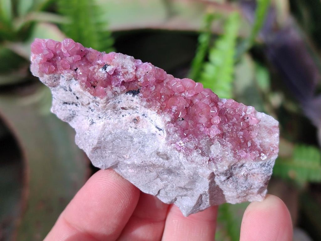 Natural Spherocobaltite Specimens x 6 From Musonoi Mine, Congo - Toprock Gemstones and Minerals 