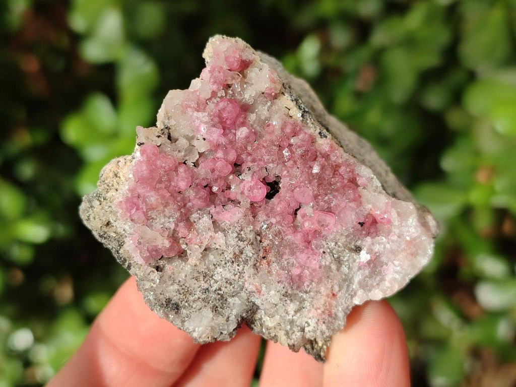 Natural Spherocobaltite Specimens x 6 From Musonoi Mine, Congo - Toprock Gemstones and Minerals 