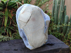Polished and Natural XXL Blue Lace Agate Standing Display Piece x 1 From Nsanje, Malawi - Toprock Gemstones and Minerals 