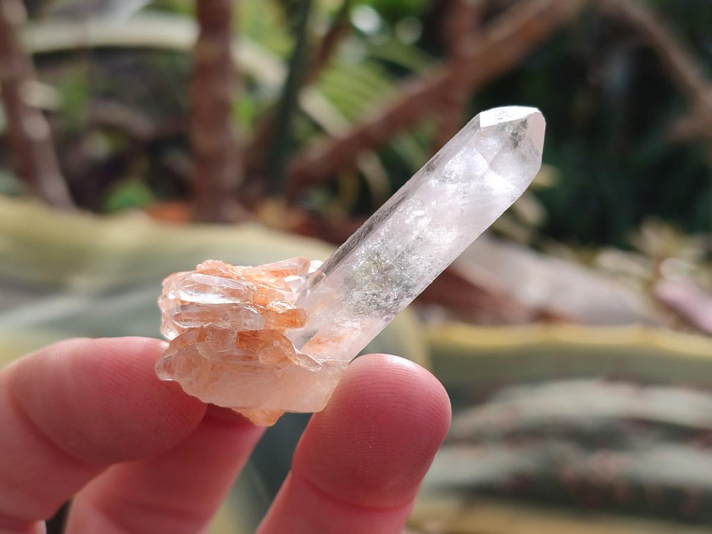 Natural Malagasy Quartz Crystals with White Phantoms x 70 From Madagascar - Toprock Gemstones and Minerals 