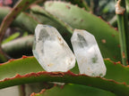 Natural Malagasy Quartz Crystals with White Phantoms x 70 From Madagascar - Toprock Gemstones and Minerals 