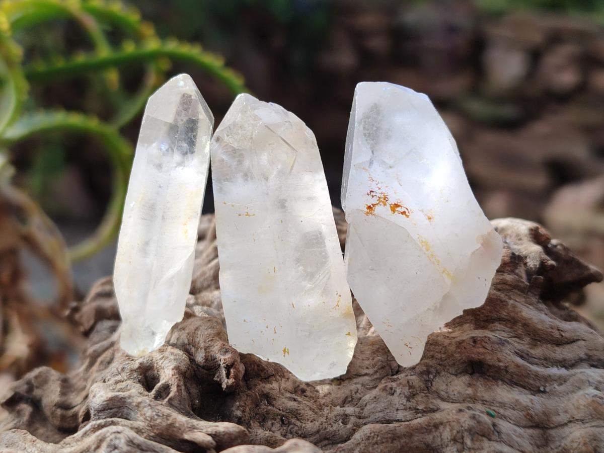 Natural Malagasy Quartz Crystals with White Phantoms x 70 From Madagascar - Toprock Gemstones and Minerals 