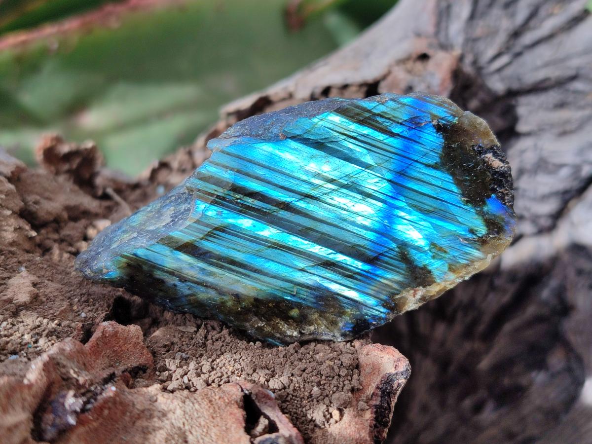 Polished One Side Labradorite Slices x 26 From Madagascar - Toprock Gemstones and Minerals 