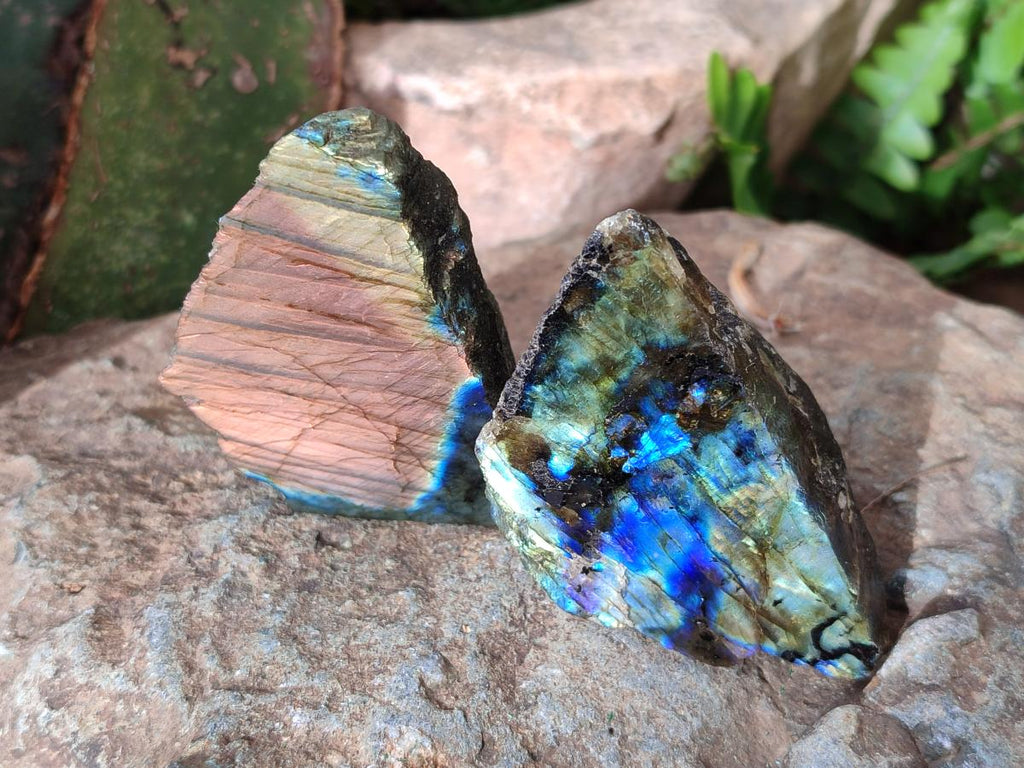 Polished One Side Labradorite Slices x 26 From Madagascar - Toprock Gemstones and Minerals 