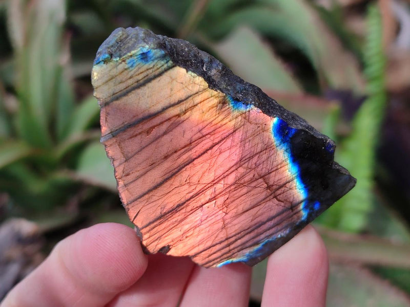 Polished One Side Labradorite Slices x 26 From Madagascar - Toprock Gemstones and Minerals 