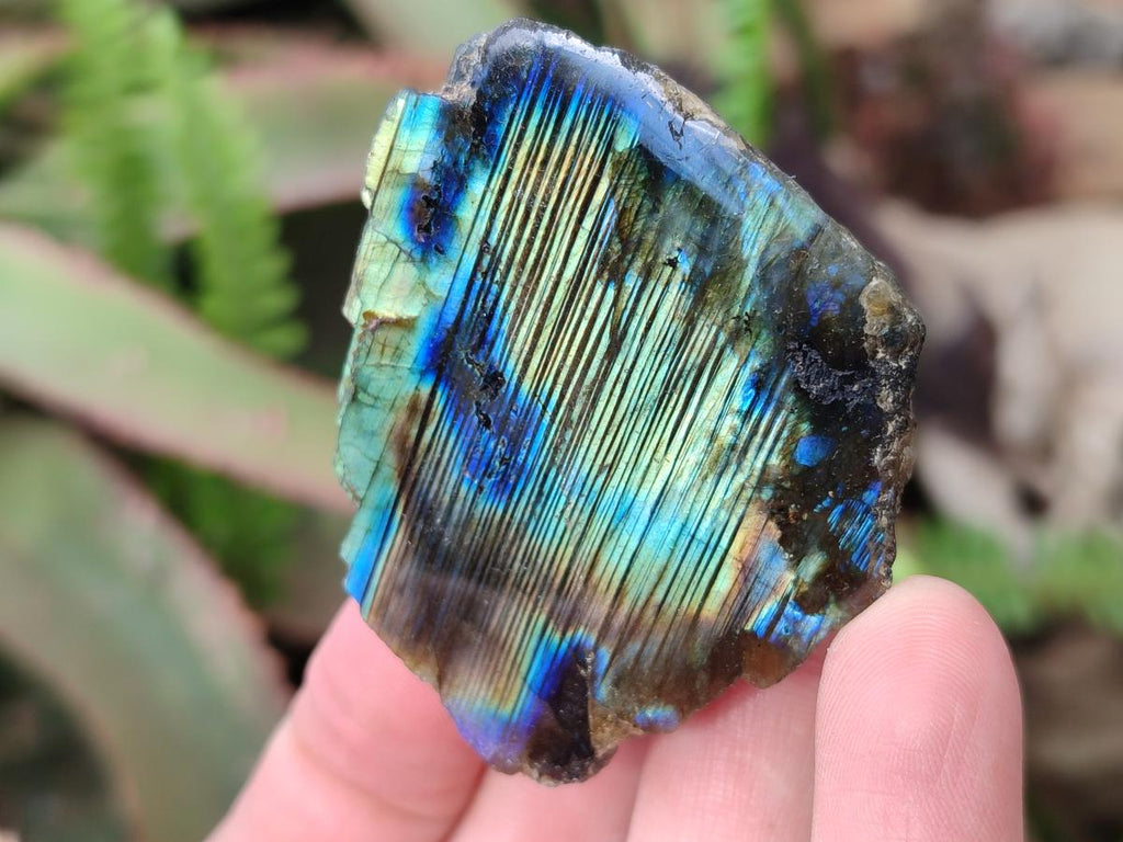 Polished One Side Labradorite Slices x 26 From Madagascar - Toprock Gemstones and Minerals 