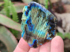 Polished One Side Labradorite Slices x 26 From Madagascar - Toprock Gemstones and Minerals 