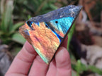 Polished One Side Labradorite Slices x 26 From Madagascar - Toprock Gemstones and Minerals 