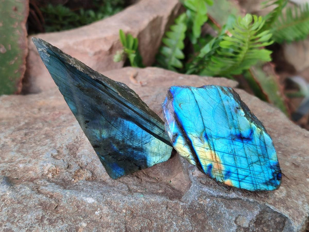 Polished One Side Labradorite Slices x 26 From Madagascar - Toprock Gemstones and Minerals 