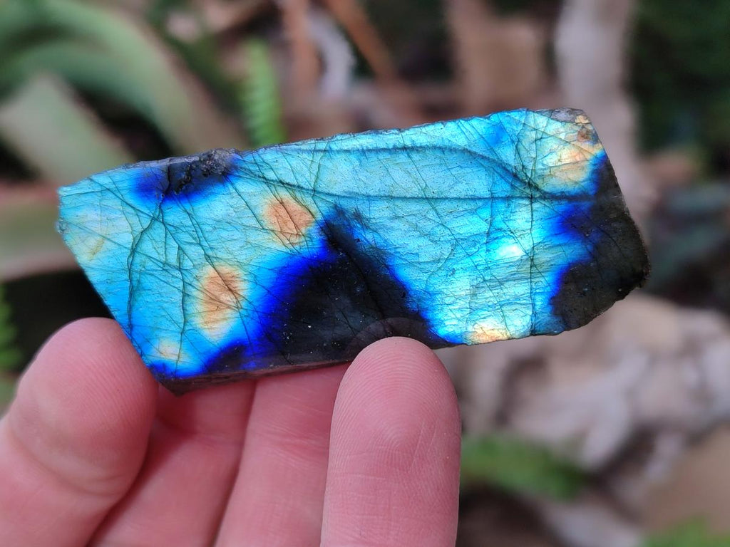 Polished One Side Labradorite Slices x 26 From Madagascar - Toprock Gemstones and Minerals 