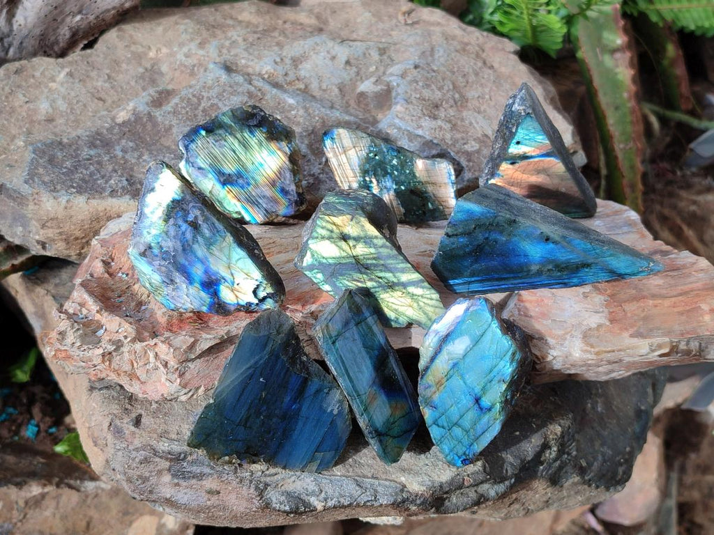 Polished One Side Labradorite Slices x 26 From Madagascar - Toprock Gemstones and Minerals 