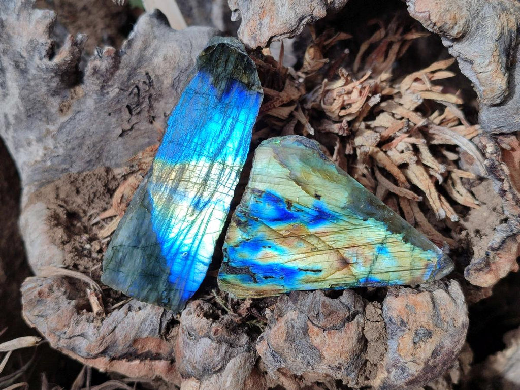 Polished One Side Labradorite Slices x 26 From Madagascar - Toprock Gemstones and Minerals 