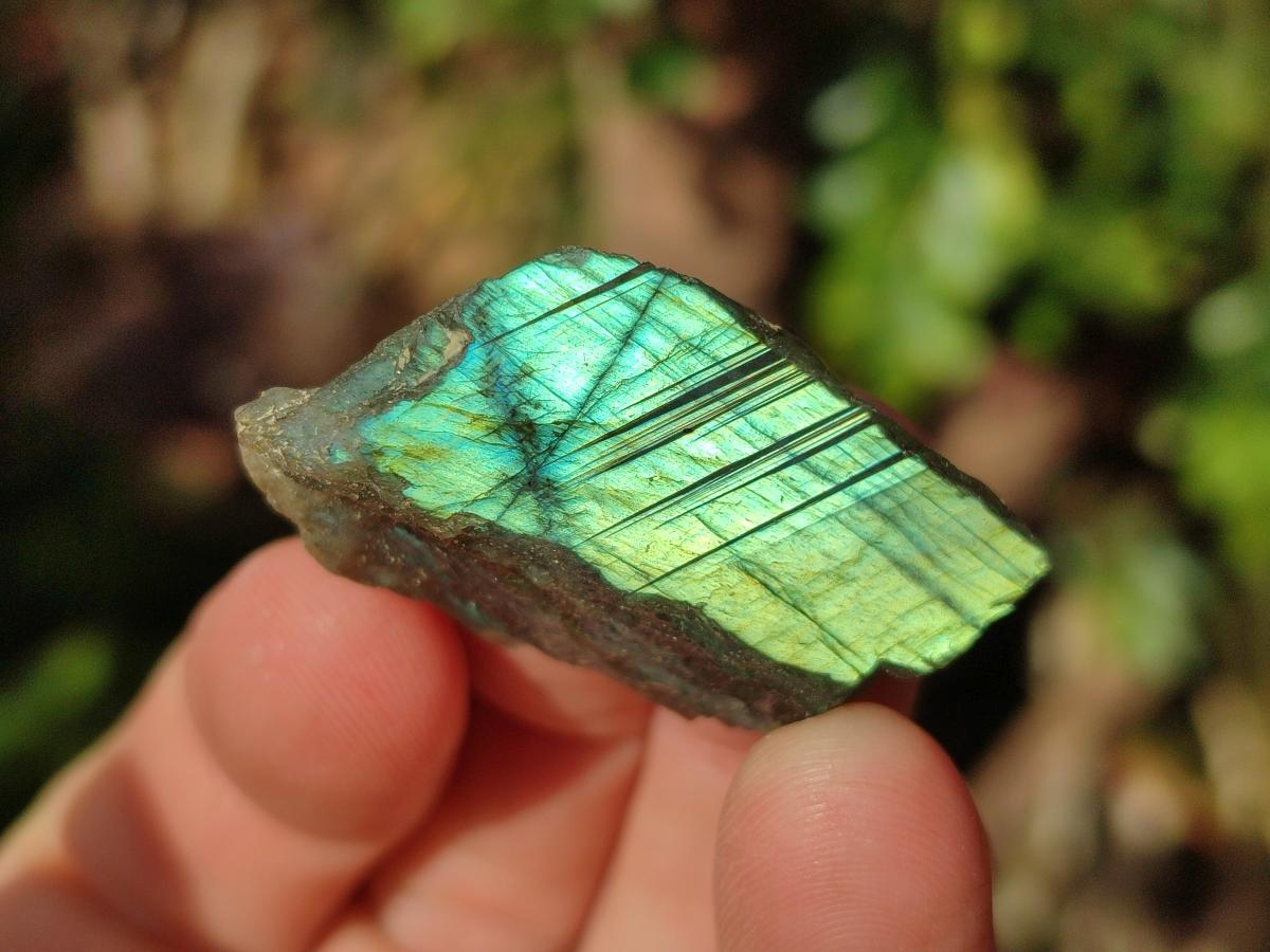 Polished One Side Labradorite Slices x 26 From Madagascar - Toprock Gemstones and Minerals 