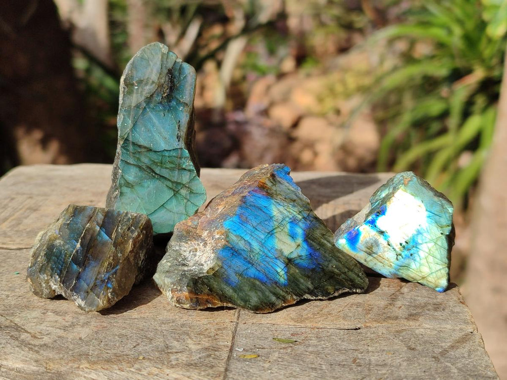 Polished One Side Labradorite Slices x 26 From Madagascar - Toprock Gemstones and Minerals 