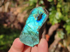 Polished One Side Labradorite Slices x 26 From Madagascar - Toprock Gemstones and Minerals 