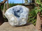 Natural Large Blue Celestite Geode Specimen x 1 From Sakoany, Madagascar - Toprock Gemstones and Minerals 