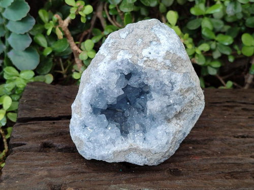 Natural Large Blue Celestite Geode Specimen x 1 From Sakoany, Madagascar - Toprock Gemstones and Minerals 