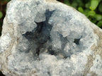 Natural Large Blue Celestite Geode Specimen x 1 From Sakoany, Madagascar - Toprock Gemstones and Minerals 