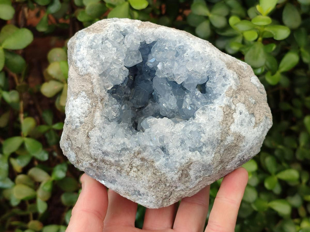 Natural Large Blue Celestite Geode Specimen x 1 From Sakoany, Madagascar - Toprock Gemstones and Minerals 