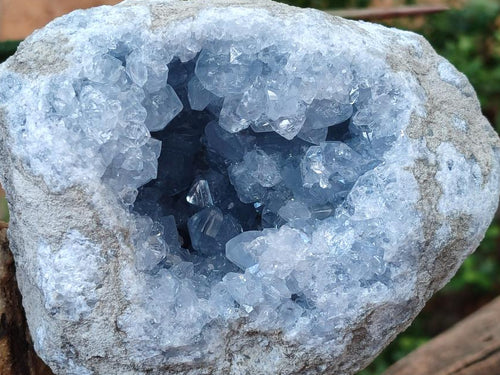 Natural Large Blue Celestite Geode Specimen x 1 From Sakoany, Madagascar - Toprock Gemstones and Minerals 