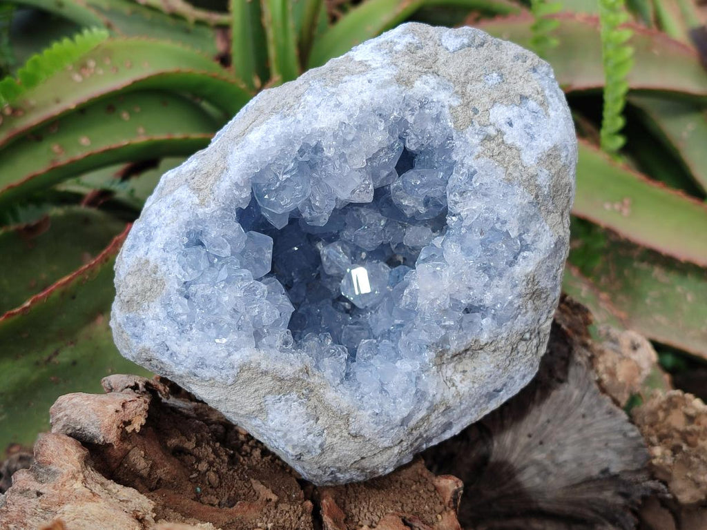 Natural Large Blue Celestite Geode Specimen x 1 From Sakoany, Madagascar - Toprock Gemstones and Minerals 