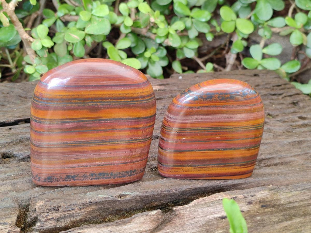 Polished Banded Tiger Iron Standing Display Pieces x 4 From South Africa - Toprock Gemstones and Minerals 