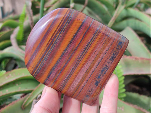Polished Banded Tiger Iron Standing Display Pieces x 4 From South Africa - Toprock Gemstones and Minerals 
